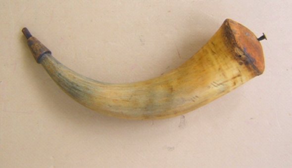 Light honey yellow colored, slightly weathered, untouched cow horn body with 